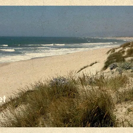 Secret Spot - Quinta Da Barca Esposende